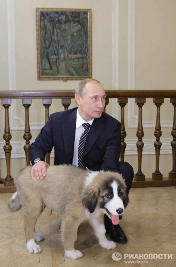 Премьер-министр РФ Владимир Путин познакомился с юным автором клички для своей новой собаки