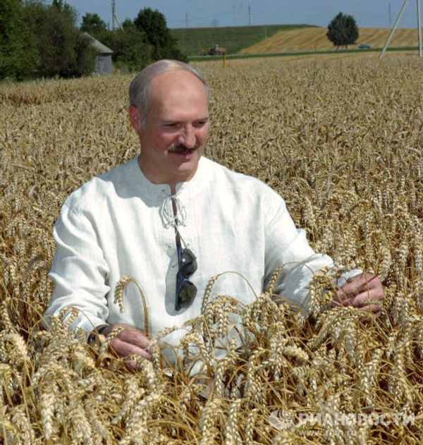 А.Лукашенко во время посещения кооператива под Гродно