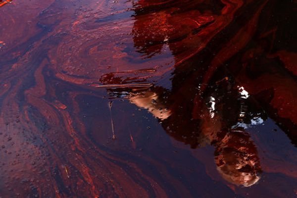 Разлив нефти в Мексиканском заливе