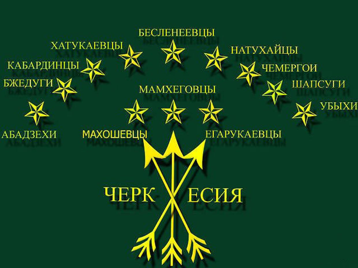 Международная черкесская ассоциация