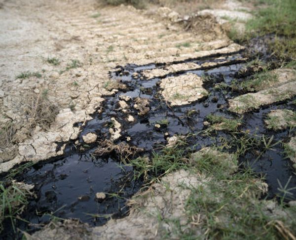 Жизнь, погруженная в нефть