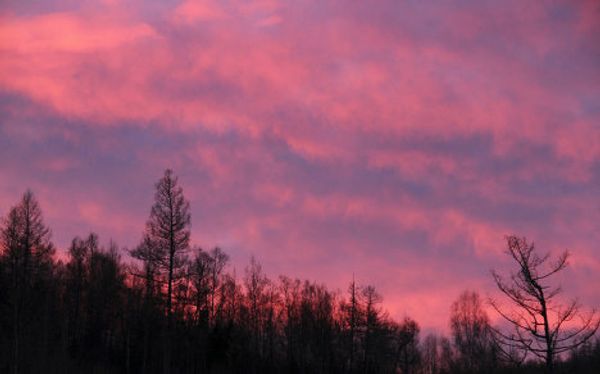 «Дикая природа России». Фотовыставка с работами Сергея Шойгу