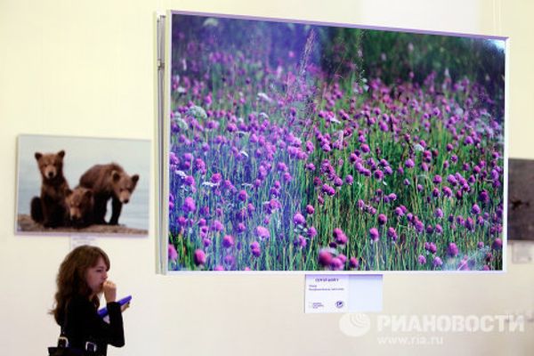 «Дикая природа России». Фотовыставка с работами Сергея Шойгу