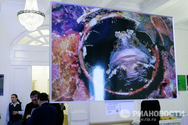 «Дикая природа России». Фотовыставка с работами Сергея Шойгу