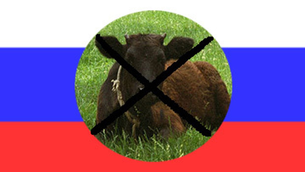Мясо из России