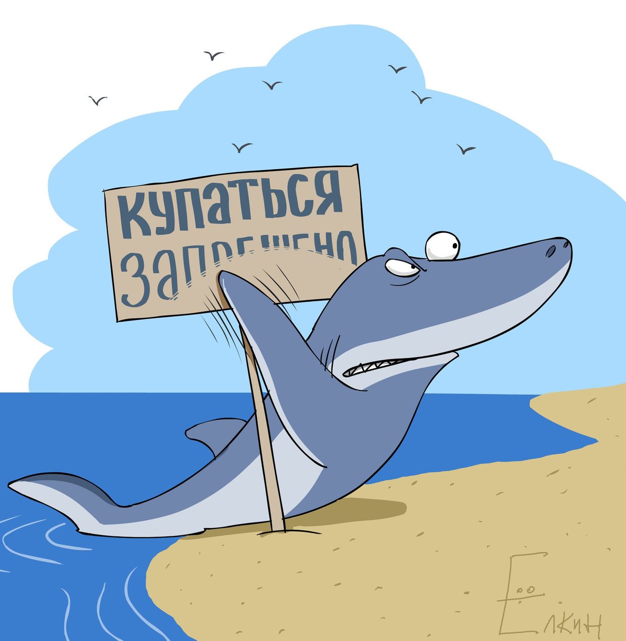 Акулы дальневосточных морей