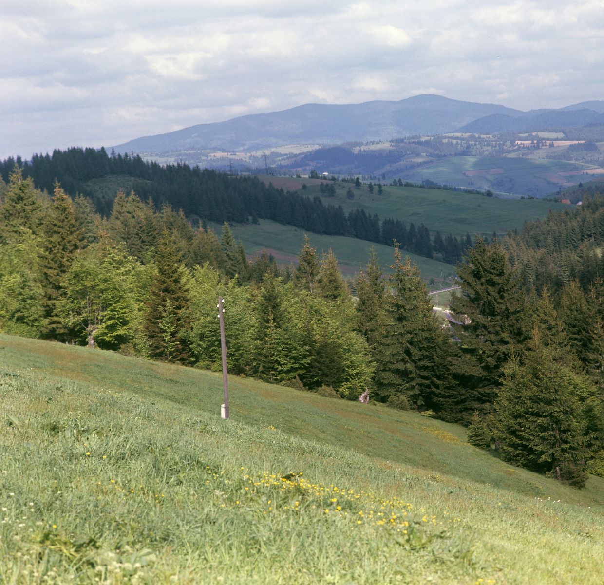 Закарпатье