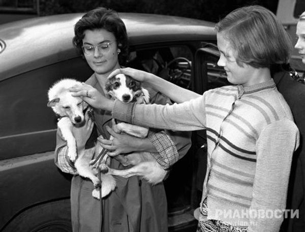 Белка и Стрелка - собаки, побывавшие в космосе