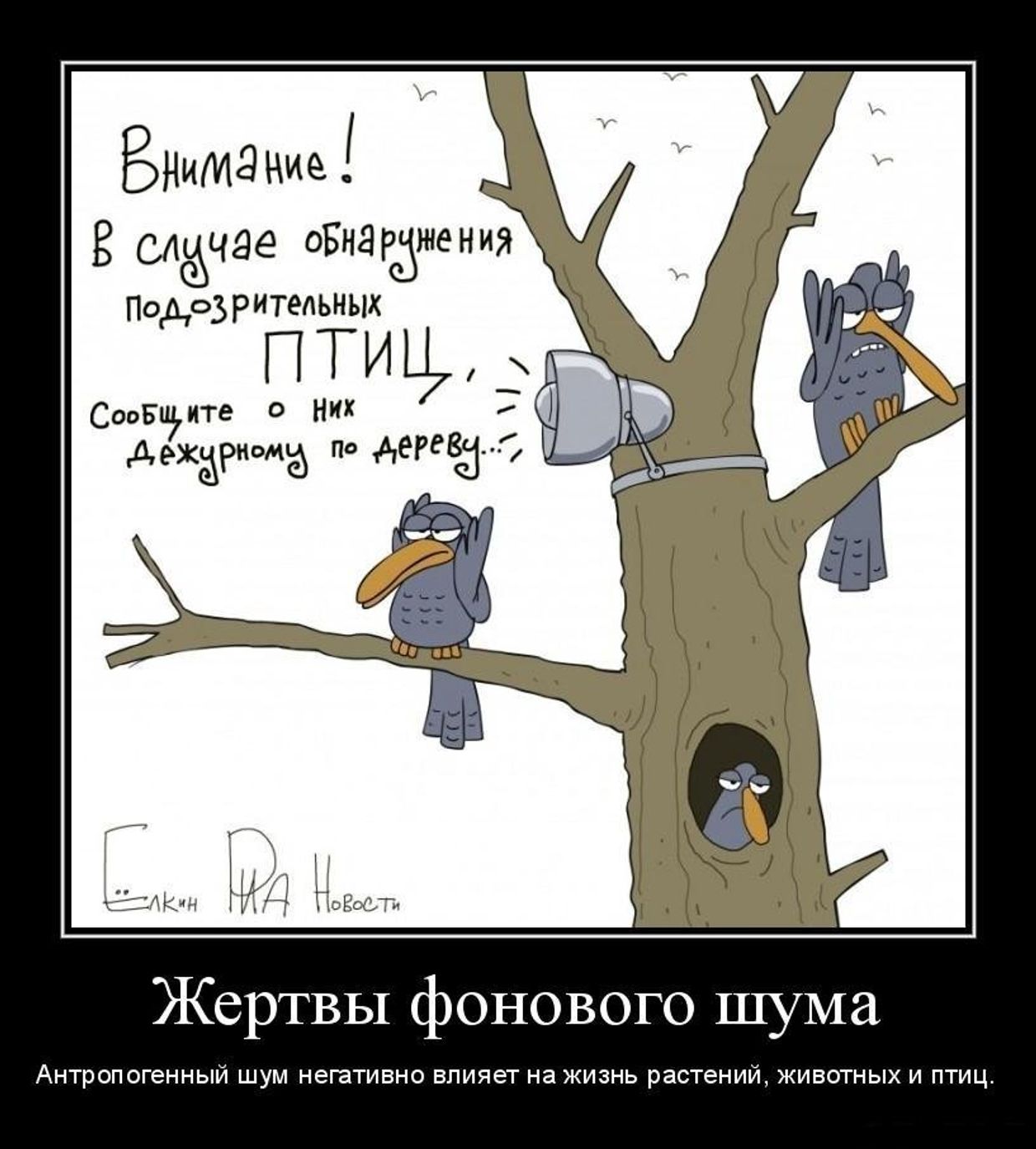 Жертвы фонового шума