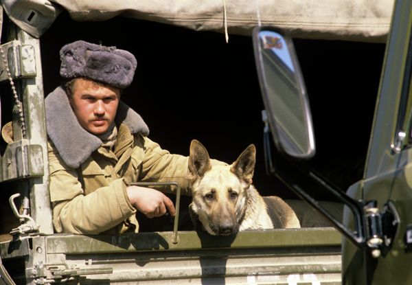 Боевые друзья