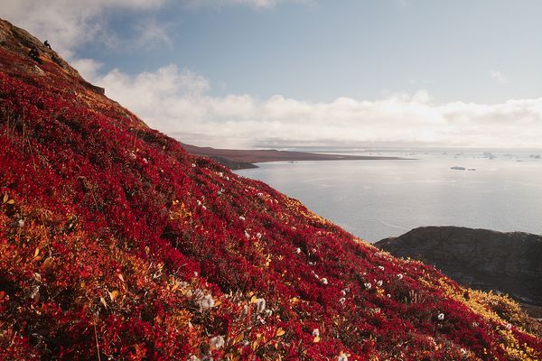 Фьорд в Гренландии