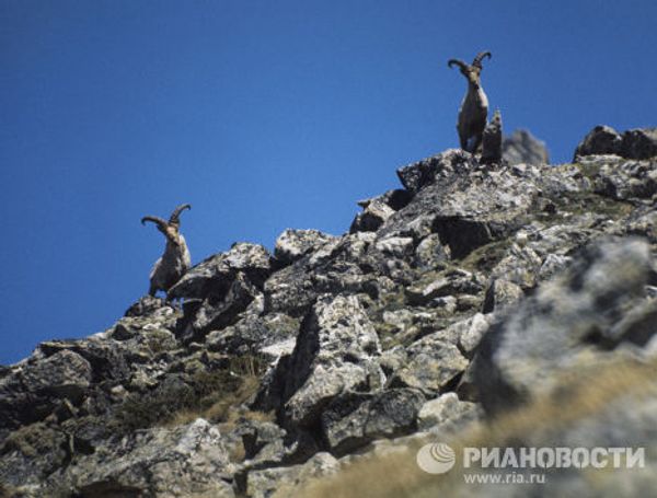 Туры