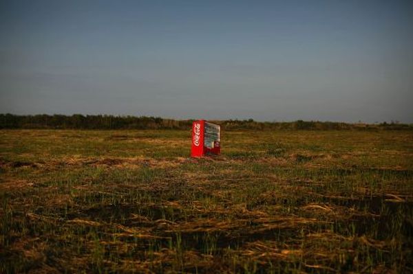 Автомат Coca-Cola, принесенный цунами, на заброшенном рисовом поле неподалеку от города Минамисома, префектура Фукусима
