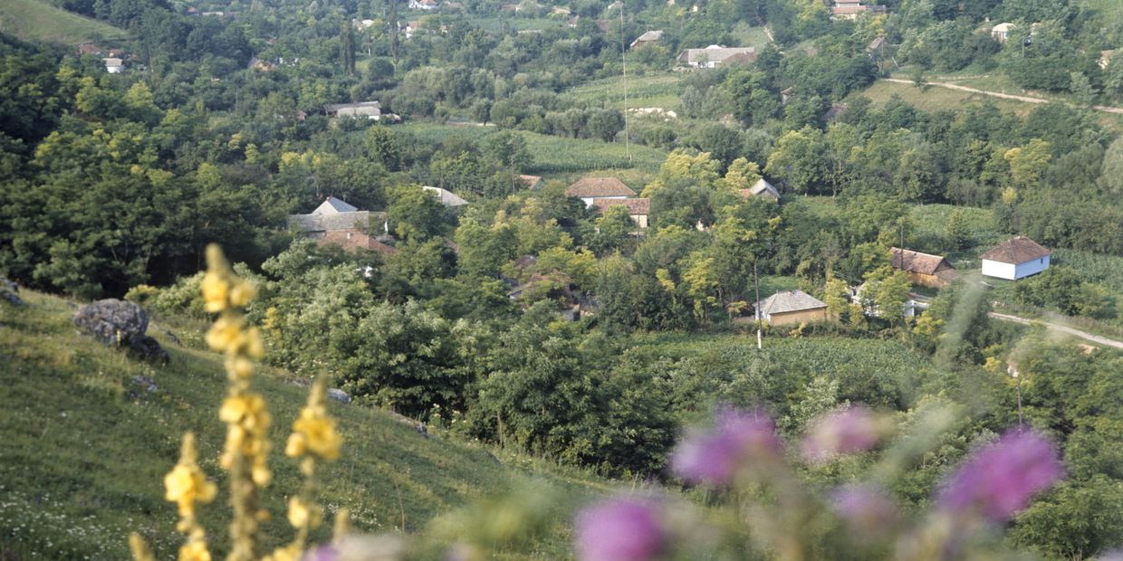 Вид на село Наславча