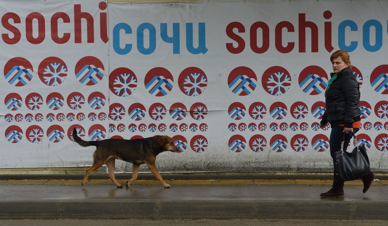Сочи готовится принять XXII Олимпийские зимние игры