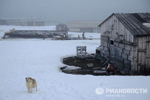 Национальный парк Русская Арктика