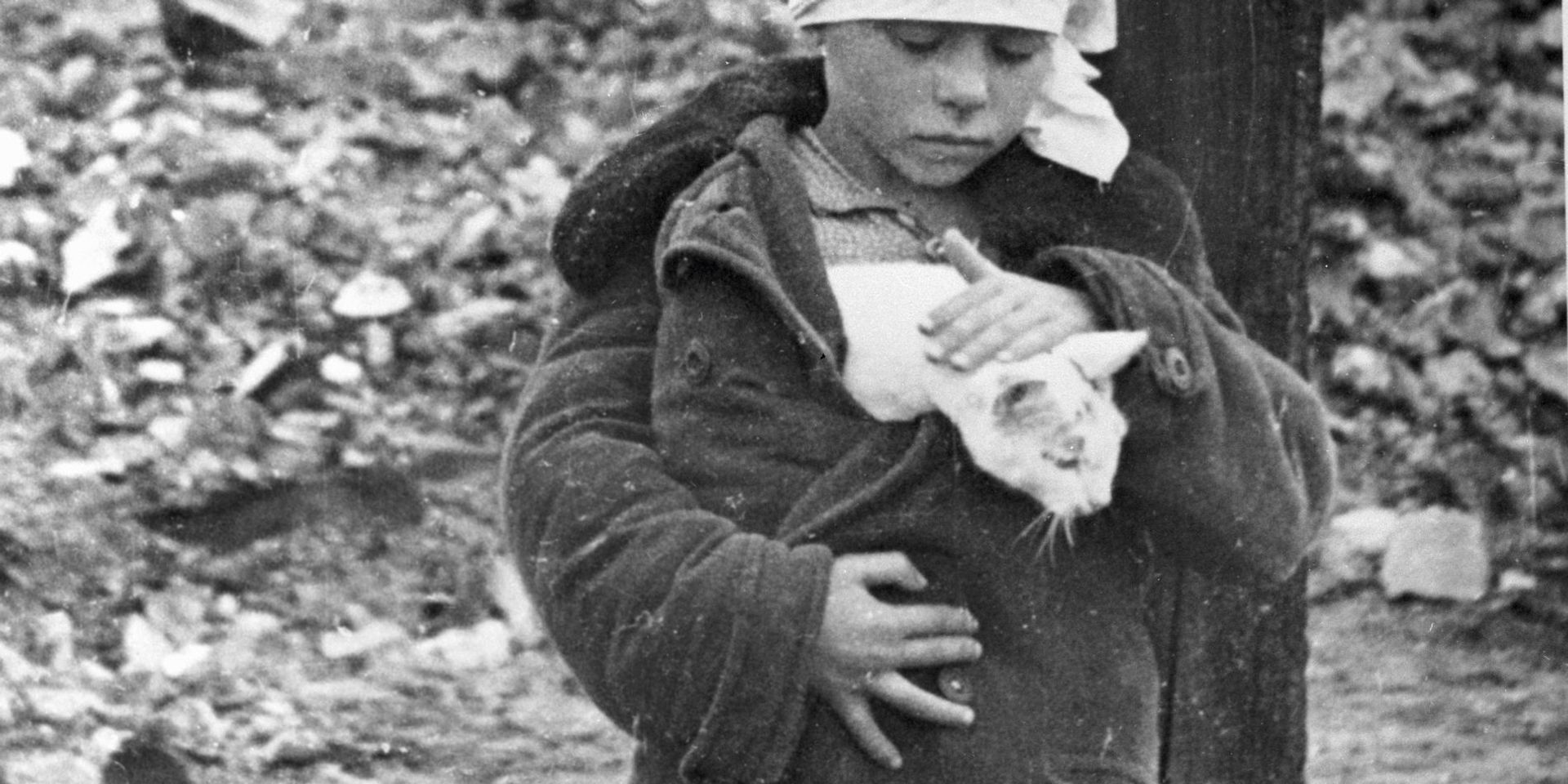Девочка с котенком возле разрушенного дома - ИноСМИ, 1920, 09.05.2023