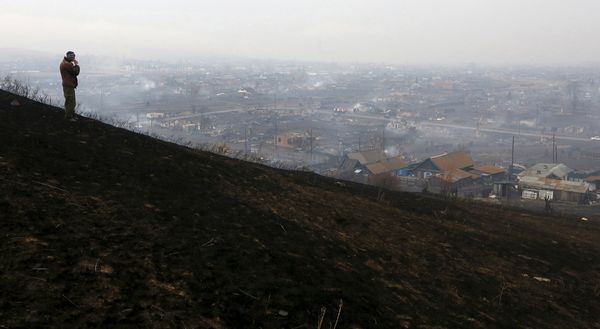 Последствия лесных пожаров в поселке Шира в Хакасии