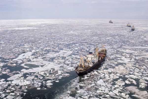 Атомный ледокол Арктика во главе каравана судов в Восточно-Сибирском море