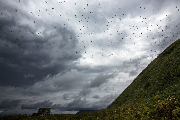 Чайки над заброшенным домом на берегу Охотского моря