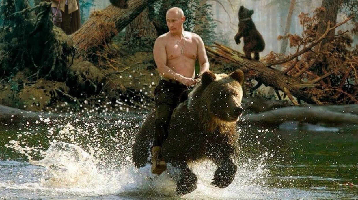 Владимир Путин на медведе