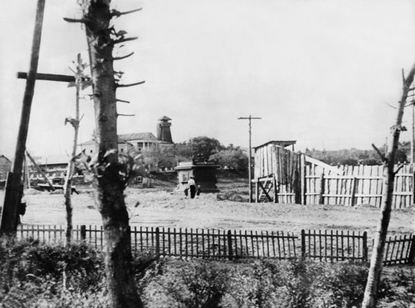Исправительный лагерь в Биробиджане, 1954 год