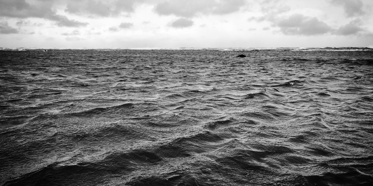 Море у берегов Хоккайдо
