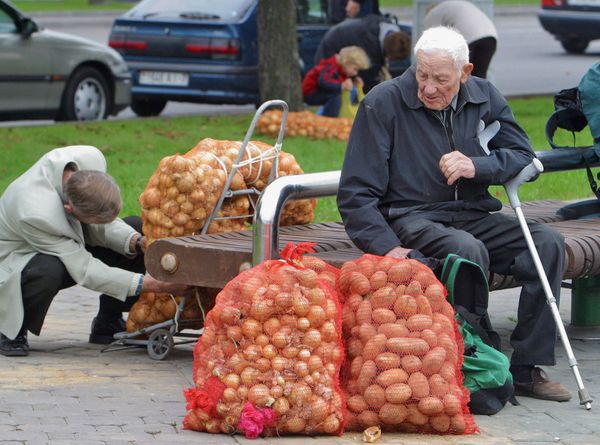 Традиционная сельскохозяйственная ярмарка