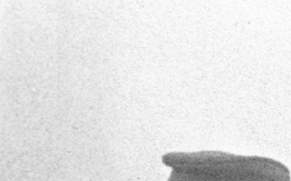 Июль 1943 года. Артиллеристы изучают новую технику противника, подбитую ими на поле боя на Курской дуге.