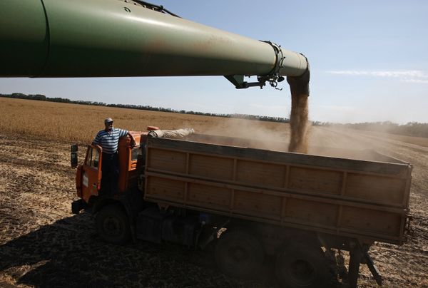 Уборка сои в Краснодарском крае
