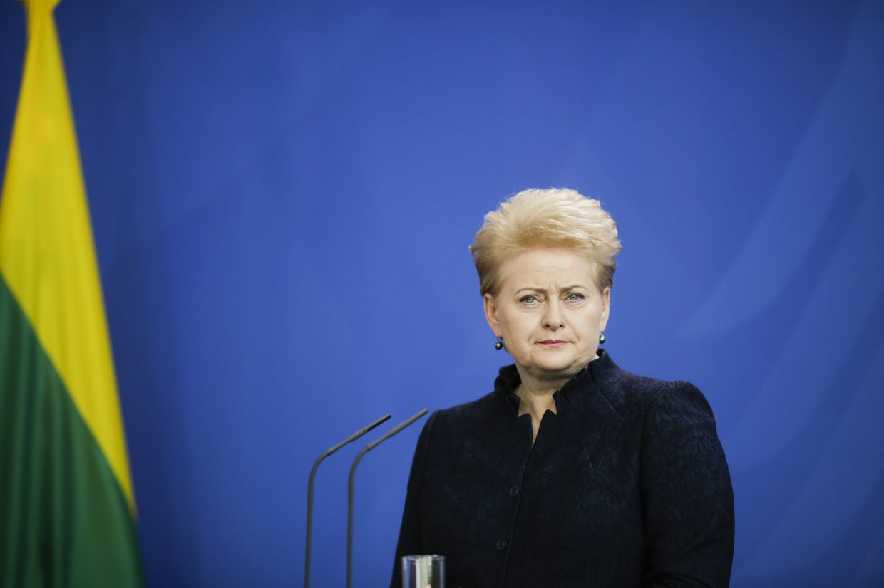 Президент Литвы Даля Грибаускайте во время пресс-конференции