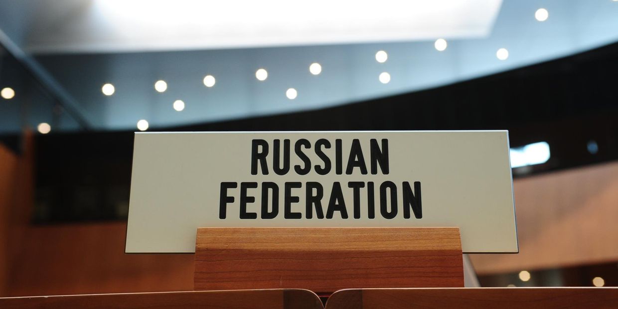 Российская Федерация в WTO
