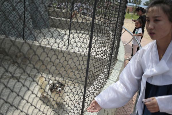 Один день в северокорейском зоопарке