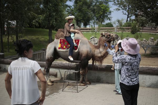 Один день в северокорейском зоопарке