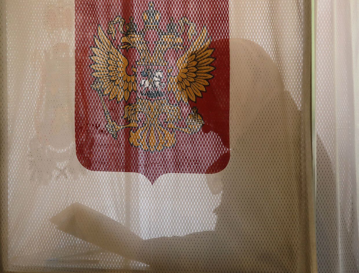 Голосование в деревше Гушино