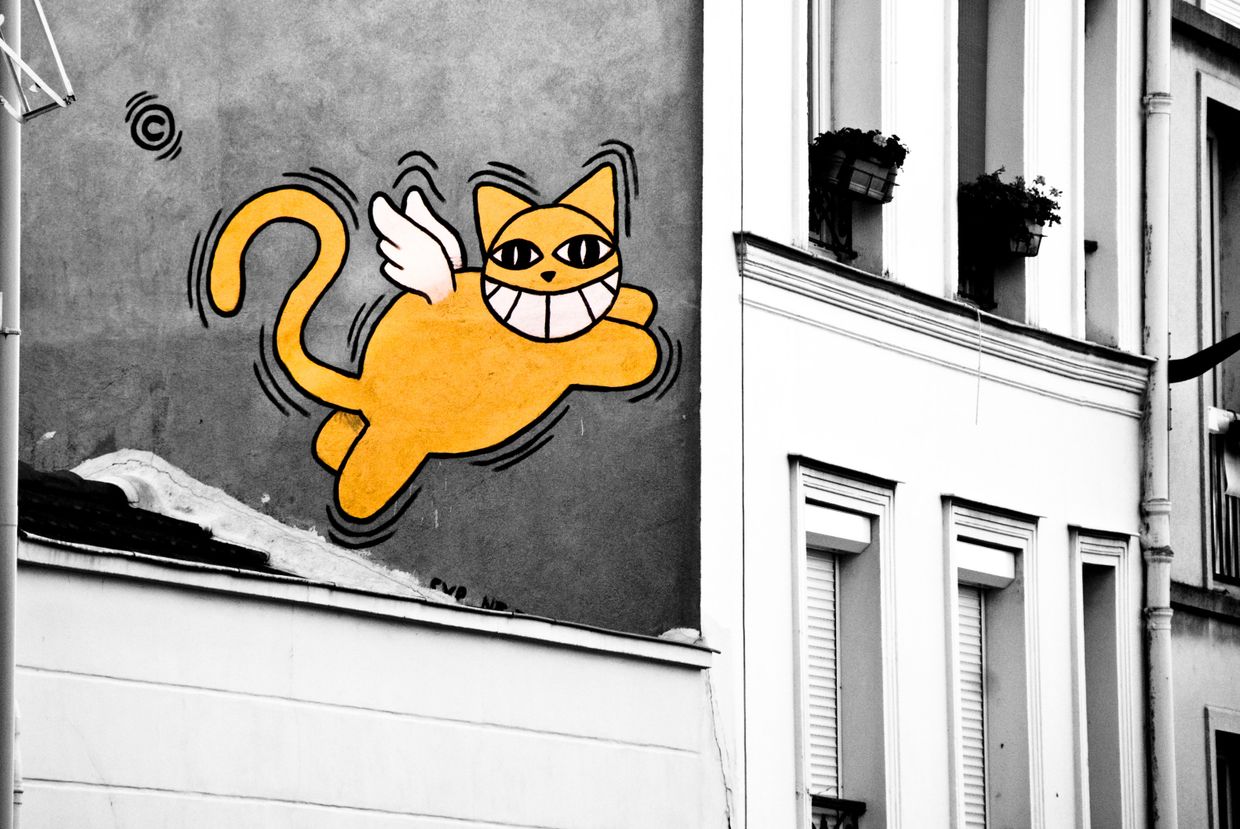Monsieur Chat, Damien Roué