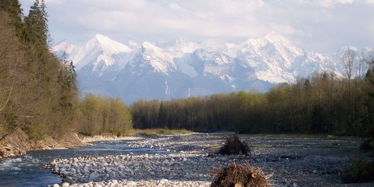Карпаты Карпаты