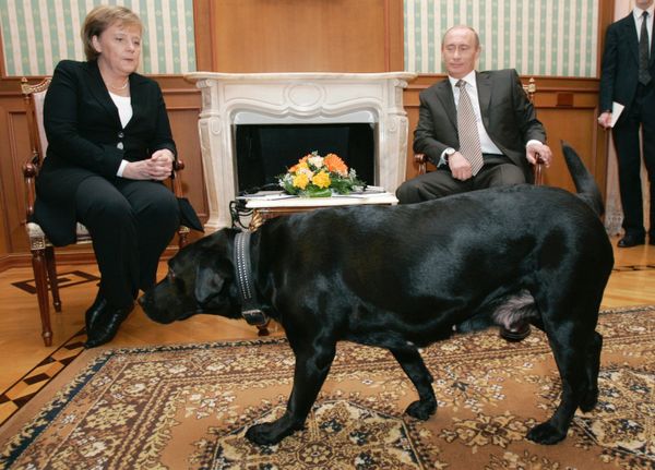 Канцлер Германии Ангела Меркель и президент России Владимир Путин