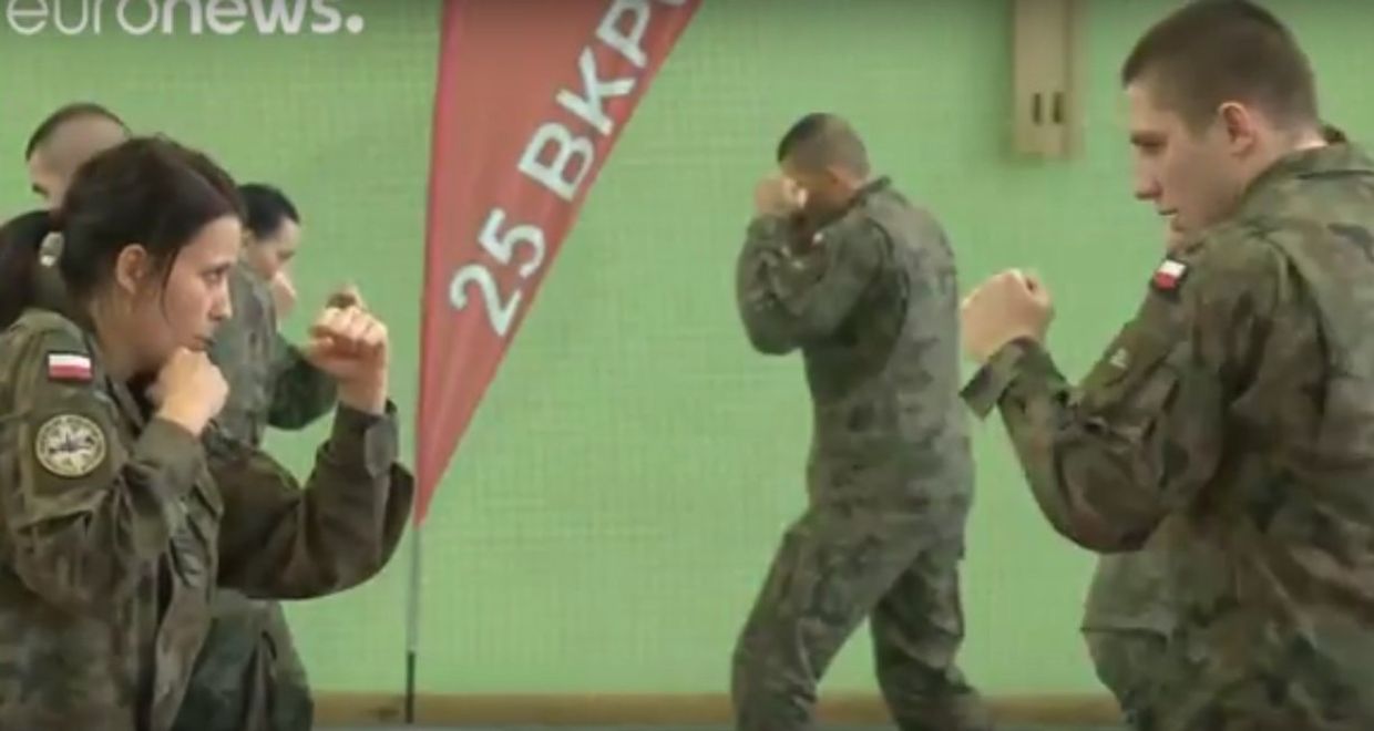 Гибридная армия Польши