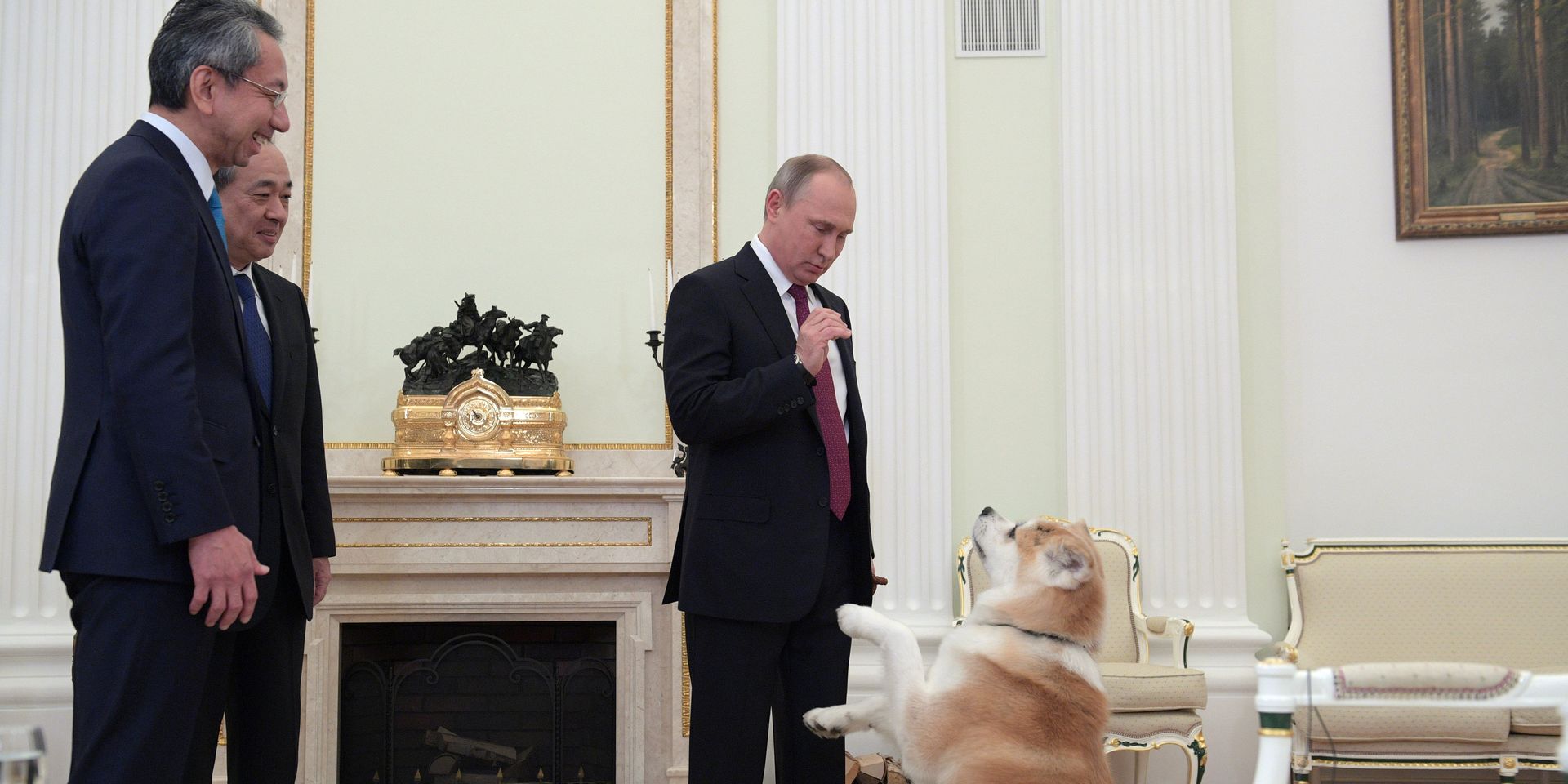 Президент РФ Владимир Путин с собакой Юмэ породы акита-ину перед началом интервью в Кремле телекомпании Ниппон и газете Иомиури. 7 декабря 2016 - ИноСМИ, 1920, 13.09.2021