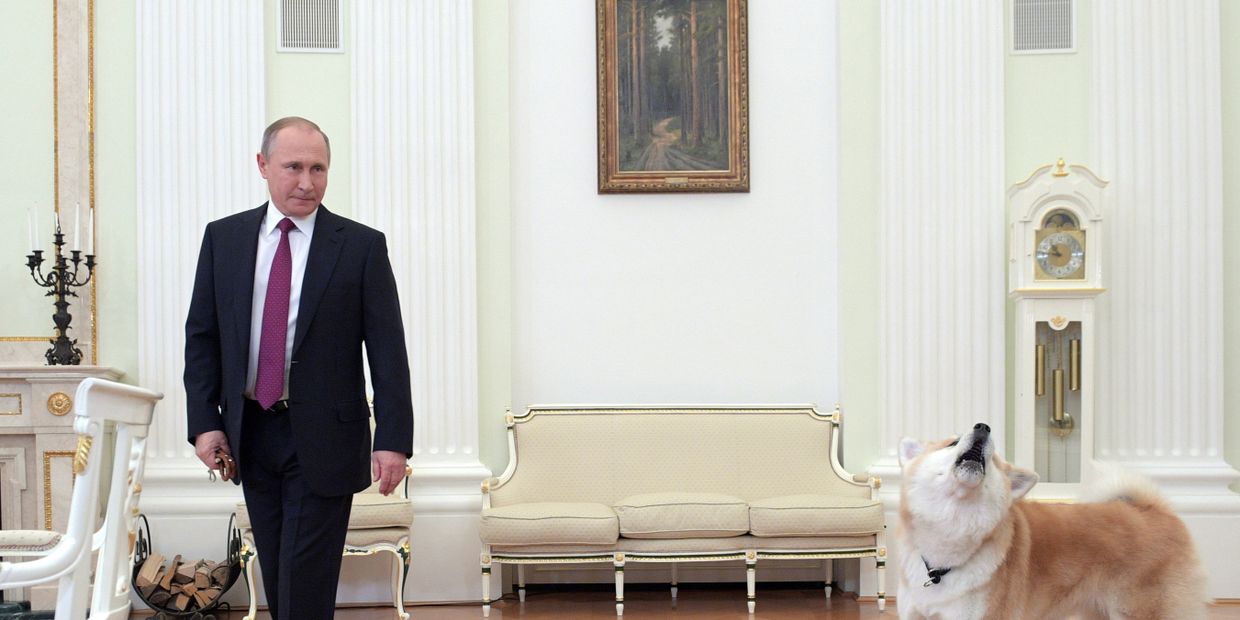 Президент РФ Владимир Путин с собакой Юмэ породы акита-ину