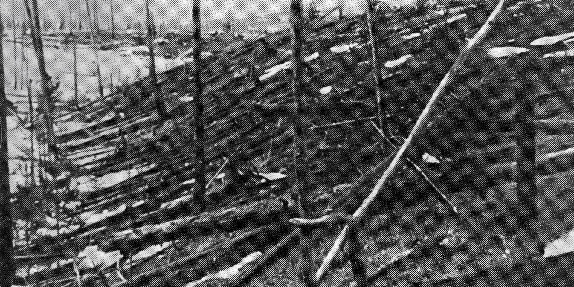 Место взрыва Тунгусского метеорита - ИноСМИ, 1920, 18.09.2022