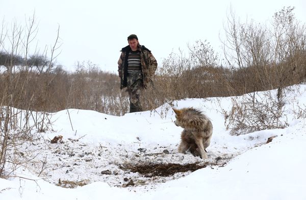Чернобыль