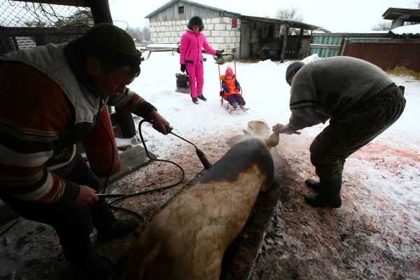 Чернобыль