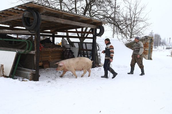 Чернобыль