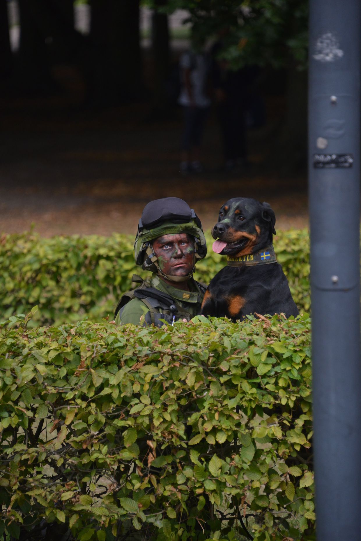 Учения вооруженных сил Швеции в городе Кристианстад