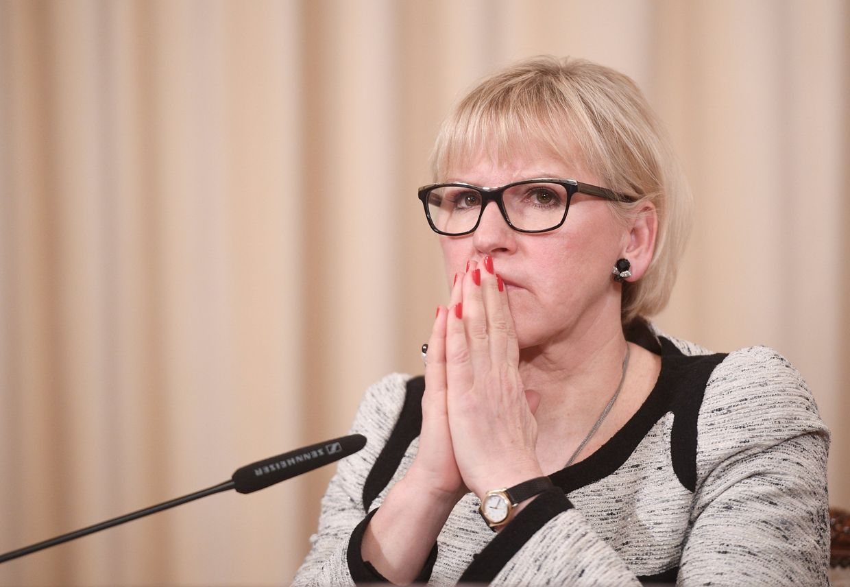 Министр иностранных дел Королевства Швеции Маргот Вальстрем после встречи с Сергеем Лавровым
