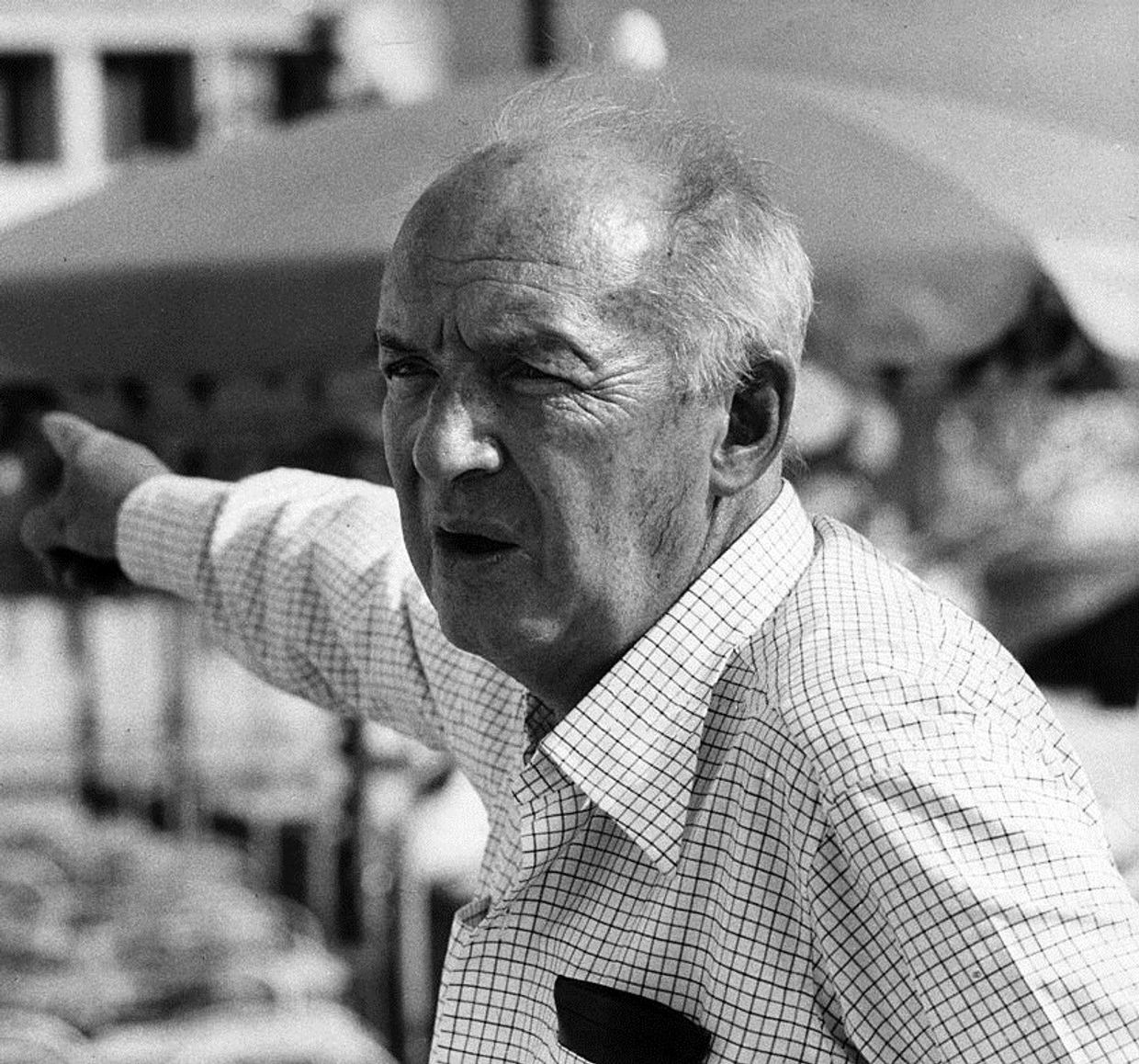 Владимир Набоков в 1973 году