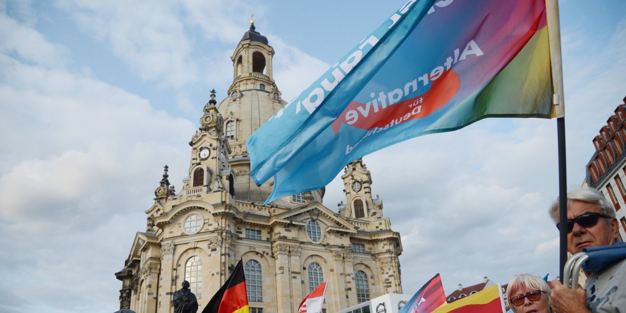 Акция партии Альтернатива для Германии против политики Ангелы Меркель в Дрездене