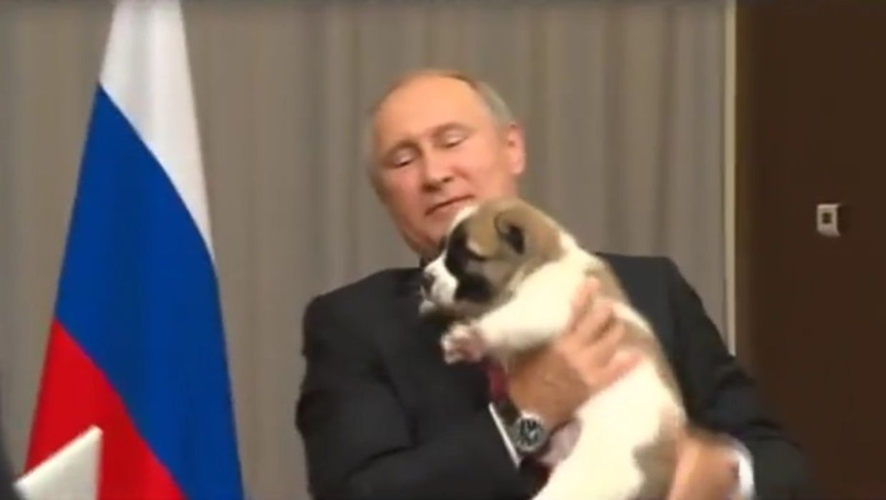 Верный сбежал от Путина